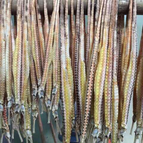 Hải long thường được ví như một thứ Viagra đến từ biển khơi, có khả năng cải thiện “chuyện ấy” của các quý ông một cách rõ rệt.