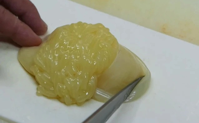 Người Nhật rất thích trứng bạch tuộc và các loại trứng cá. Khác hẳn với những loại bạch tuộc thông thường, chỉ có bạch tuộc sống ở vùng biển sâu ở Nhật Bản thì trứng của nó mới có kích thước lớn đến như vậy.