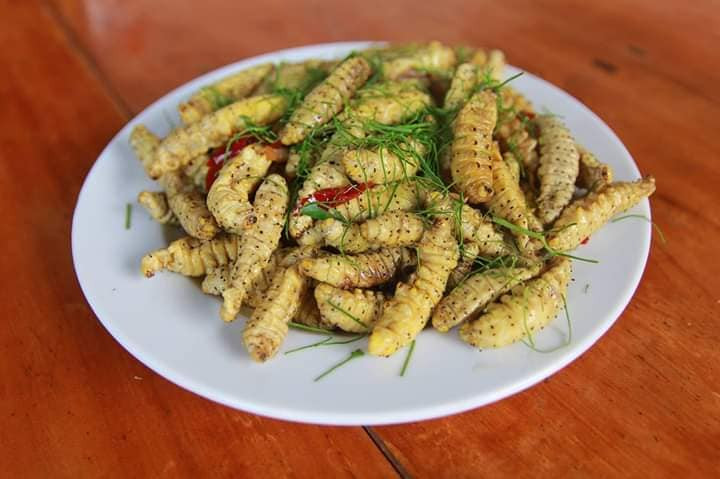 Sau đó, đổ tằm đã rang vào, trộn đều, cho thêm chút mỡ nước đảo cho cả tằm và thịt cùng khô, tỏa mùi thơm thì bắc ra. Sau đó rắc một ít lá chanh thái chỉ vào chảo tằm rang vừa bắc xuống. Số lá chanh còn lại được rắc lên trên đĩa tằm rang cho đẹp mắt.