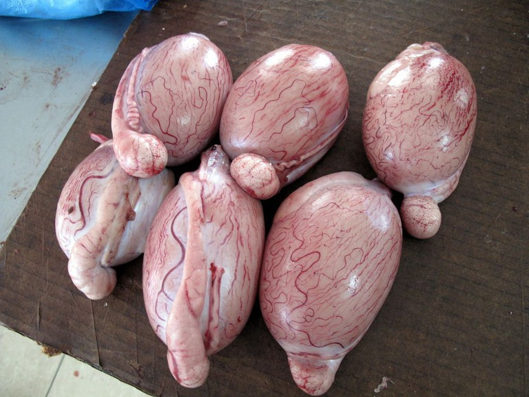 Couilles de mouton (tinh hoàn cừu): Vùng Périgord, Pháp có công thức đặc biệt riêng để nấu món này, gọi là frivolites beneventines. Tinh hoàn cừu được ngâm trong nước lạnh 3 giờ, sau đó thái lát và nướng với chanh, rau mùi tây cùng rượu vang trắng địa phương. Món ăn ngọt và dịu, đặc biệt khi được chế biến theo cách này, nó trở lên rất đắt tiền.