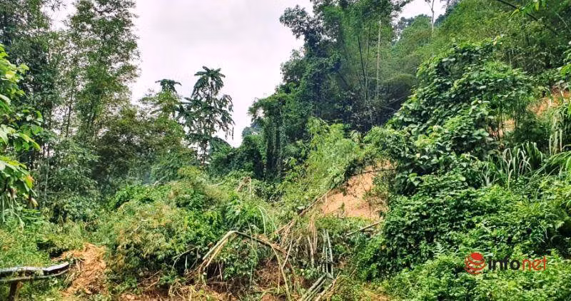 Nghe An: Sat lo nghiem trong tren quoc lo 7A, do 2 cot dien cao the-Hinh-3