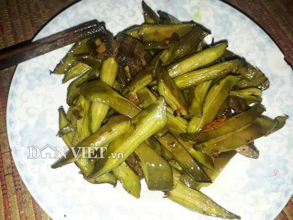 Ngoài ra, bạn cũng có thể thử làm món núc nác xào thịt bò khá hấp dẫn. Để có món ăn này, người dân thường chọn hái những quả non về đưa quả lên bếp nướng qua cho lớp da ngoài phồng rộp như bánh đa. Sau đó mang ra đập và gọt bỏ hết phần vỏ cháy, rồi thái nhỏ từng lát nhỏ cho vào rổ.