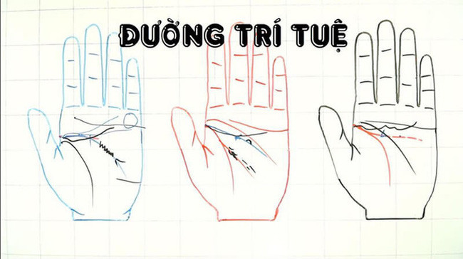 Bat mi 5 duong chi tay chi dan ong giau sang phu quy moi co-Hinh-2