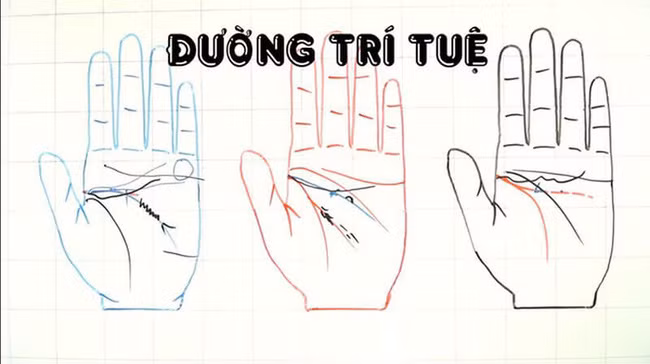 Bat mi 5 duong chi tay chi dan ong giau sang phu quy moi co-Hinh-2