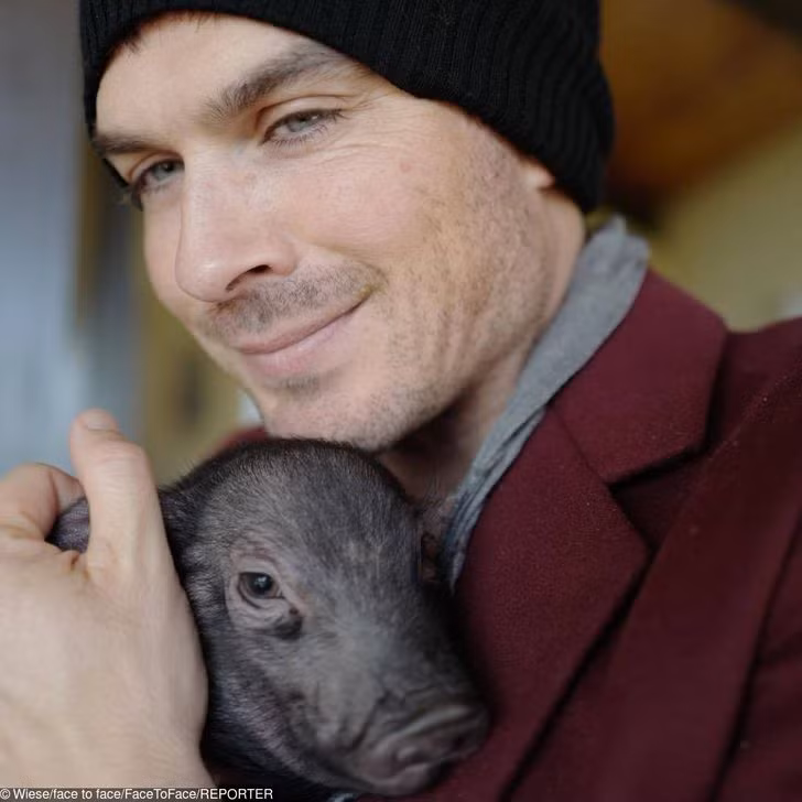 3. Những người có đôi mắt xanh được coi là ngọt ngào và hấp dẫn. Cuộc khảo sát tương tự cho thấy những người có đôi mắt sáng được đánh giá là tốt bụng và ngọt ngào hơn. Trong khi đôi mắt sẫm màu dường như đi đôi với trí thông minh và hấp dẫn hơn về mặt thể chất.