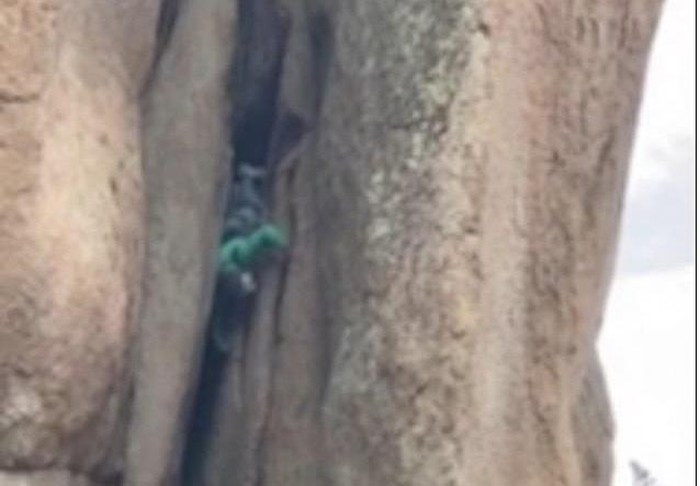 Dung tim canh cu ong xuong nui bang dau