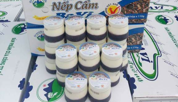 Sữa tươi, sữa chua: Ba Vì có những trang trại sữa với quy mô lớn và hiện đại, mô hình chăn nuôi theo quy trình sản xuất nghiêm ngặt, vì thế sữa bò, sữa dê nuôi ở Ba Vì có hương vị thơm ngon đặc biệt. Uống ly sữa tươi ở đây, bạn cảm nhận rõ rệt vị béo, thơm, ngậy hay hơi gây đặc trưng của sữa.