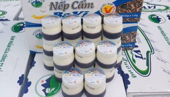 Sữa tươi, sữa chua: Ba Vì có những trang trại sữa với quy mô lớn và hiện đại, mô hình chăn nuôi theo quy trình sản xuất nghiêm ngặt, vì thế sữa bò, sữa dê nuôi ở Ba Vì có hương vị thơm ngon đặc biệt. Uống ly sữa tươi ở đây, bạn cảm nhận rõ rệt vị béo, thơm, ngậy hay hơi gây đặc trưng của sữa.