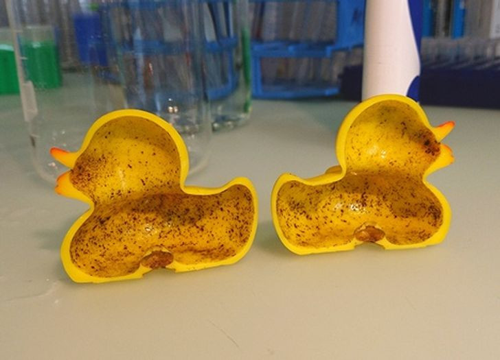 Hang trieu vi khuan “an” trong con vit cao su tha bon tam cua tre-Hinh-3