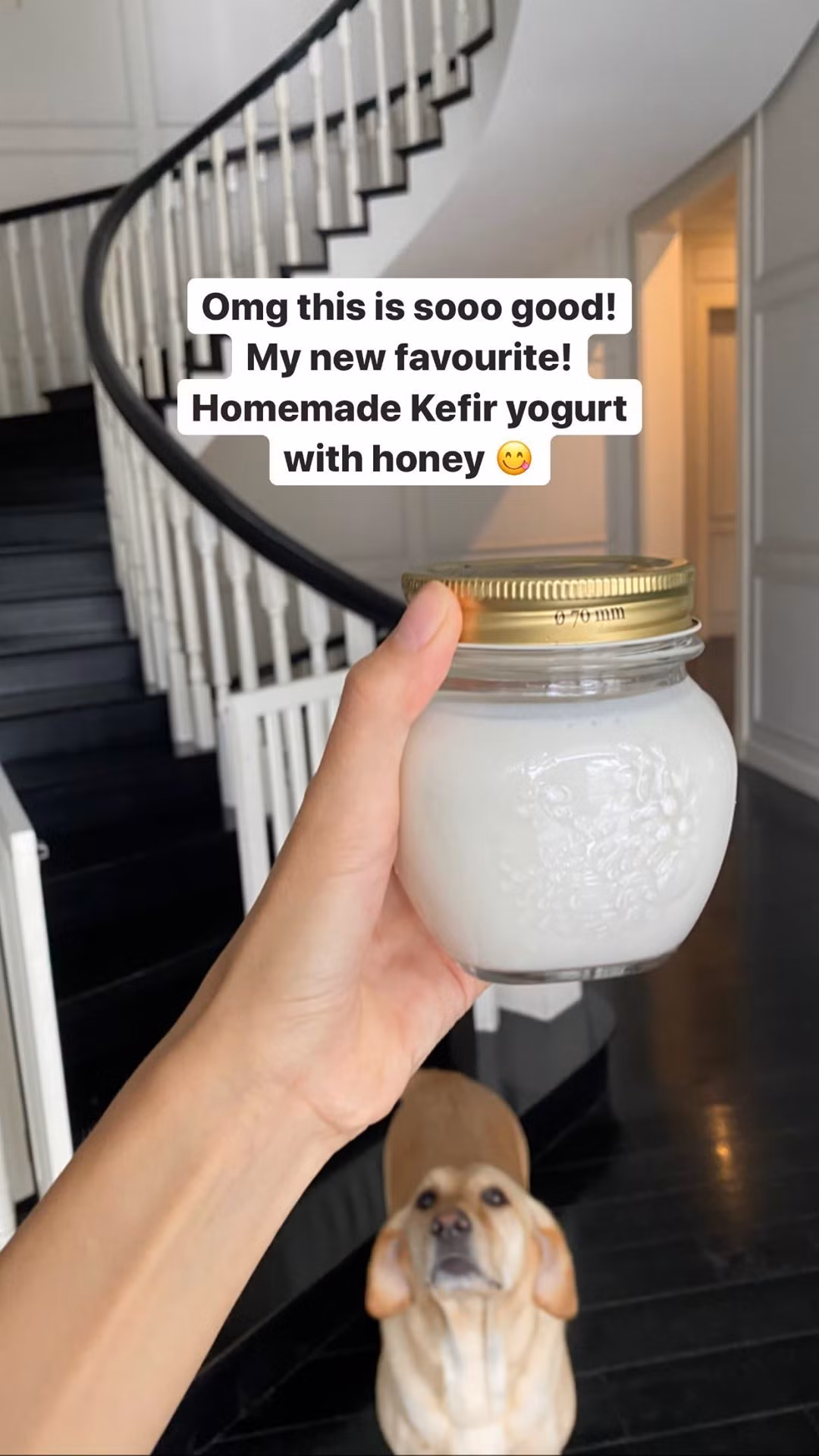 Loại sữa Kefir khiến Tăng Thanh Hà mê mẩn có gì đặc biệt? Loai sua Kefir khien Tang Thanh Ha me man co gi dac biet?