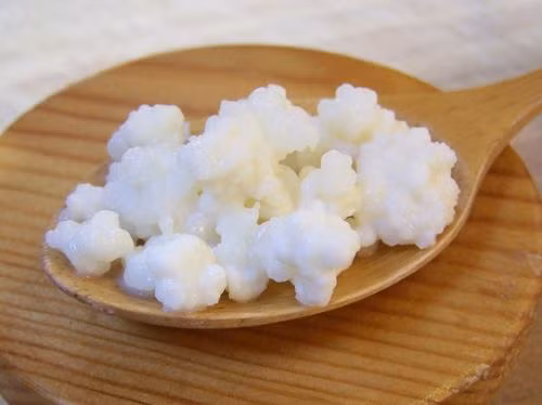 Loại sữa Kefir khiến Tăng Thanh Hà mê mẩn có gì đặc biệt? - Hình 2 Loai sua Kefir khien Tang Thanh Ha me man co gi dac biet?-Hinh-2