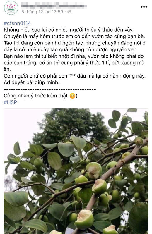 Buc xuc ke vao vuon tao, can nham nho qua tren cay roi de lai but tich-Hinh-2