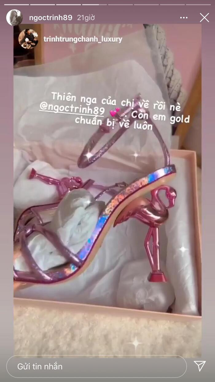 Mới đây, Ngọc Trinh còn khoe mẫu giày độc lạ với phần gót là con chim thiên nga màu hồng mới "tậu".