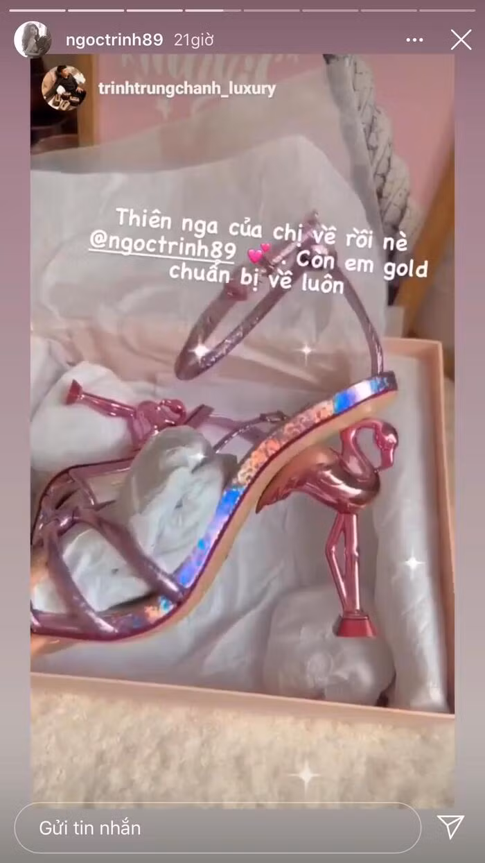 Mới đây, Ngọc Trinh còn khoe mẫu giày độc lạ với phần gót là con chim thiên nga màu hồng mới "tậu".