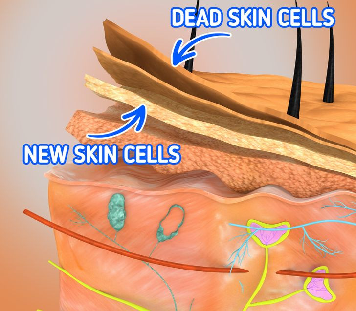 Dieu ky la voi lan da khi ban chi rua mat mot lan moi ngay-Hinh-3