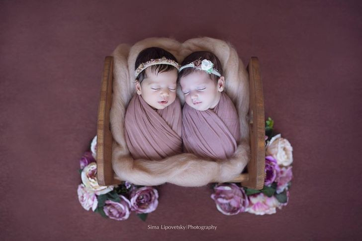 Cặp song sinh cực dễ thương say sưa trong chiếc tổ ấm áp.