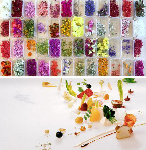 Salad Aalad 'Gargouillou': Nhà hàng Bras, Pháp đã sử dụng tới 60 loại nguyên liệu khác nhau để tạo ra món salad đặc biệt này. Các nguyên liệu có thể thay đổi theo mùa, chẳng hạn như cây dương xỉ, súp lơ, đậu Hà Lan, sen, bí, củ cải, cà chua, hành lá, thì là, nấm…