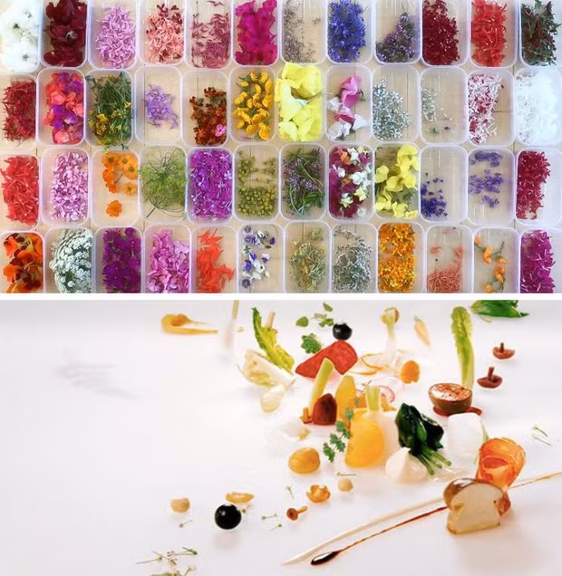 Salad Aalad 'Gargouillou': Nhà hàng Bras, Pháp đã sử dụng tới 60 loại nguyên liệu khác nhau để tạo ra món salad đặc biệt này. Các nguyên liệu có thể thay đổi theo mùa, chẳng hạn như cây dương xỉ, súp lơ, đậu Hà Lan, sen, bí, củ cải, cà chua, hành lá, thì là, nấm…