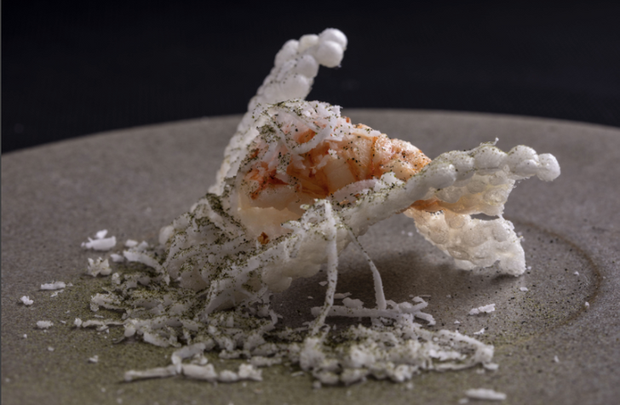  Tôm càng nấu bột sắn với dừa: Alex Atala, đầu bếp của nhà hàng "DOM" ở Mỹ từng nhận 2 sao Michelin đã tạo ra một món ăn kỳ lạ từ tôm càng, bột sắn và dừa. Cách nêm nếm và trang trí đặc biệt nhanh chóng giúp món này trở thành "best seller" (bán chạy nhất) ở nhà hàng.