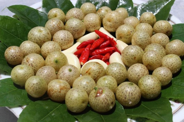 Mắc mật khi chín có vỏ màu vàng, có thể ăn tươi hoặc chế biến kèm theo những món ăn. Khi ăn tươi, ban đầu sẽ cảm nhận được vị ngọt nhưng rất nhanh sau đó là một vị chua ập đến ngay lập tức.