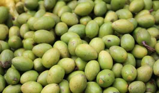 Trám trắng có thể ăn tươi, chấm muối hoặc dầm ăn với mắm và ớt. Vị của trám trắng thường là chát và ngọt xen lẫn vào nhau. Người ta có thể dùng trám trắng để kho thịt, nấu canh chua, om cá.