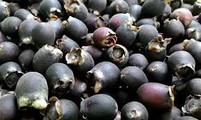 Đối với những tín đồ ăn vặt, sim rừng cũng là một cái tên cũng không còn xa lạ với vị ngọt dịu không thể lẫn. Bên ngoài vỏ sim cũng mềm và mịn như nhung, nhưng bên trong thịt sim có một màu tím đen, vị ngọt dịu dịu mà chắc chắn khi ăn nhiều miệng bạn cũng sẽ đen tím như màu sim. 