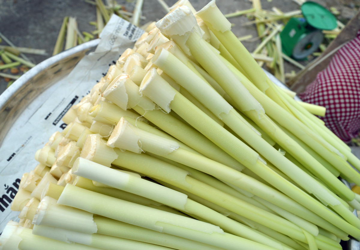 Người nông dân chỉ cần kéo lấy những ngọn bồn bồn trên mặt nước, giữ lại từ gốc lên khoảng 30cm rồi tách lấy lõi non bên trong là có ngay nguyên liệu để chế biến nhiều món ngon cho gia đình. Đơn giản mà chẳng phải cầu kỳ.