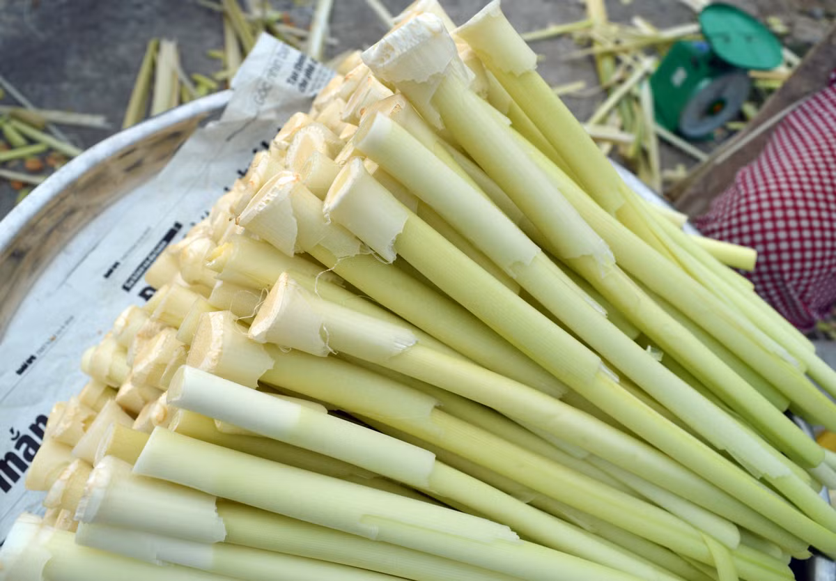 Người nông dân chỉ cần kéo lấy những ngọn bồn bồn trên mặt nước, giữ lại từ gốc lên khoảng 30cm rồi tách lấy lõi non bên trong là có ngay nguyên liệu để chế biến nhiều món ngon cho gia đình. Đơn giản mà chẳng phải cầu kỳ.