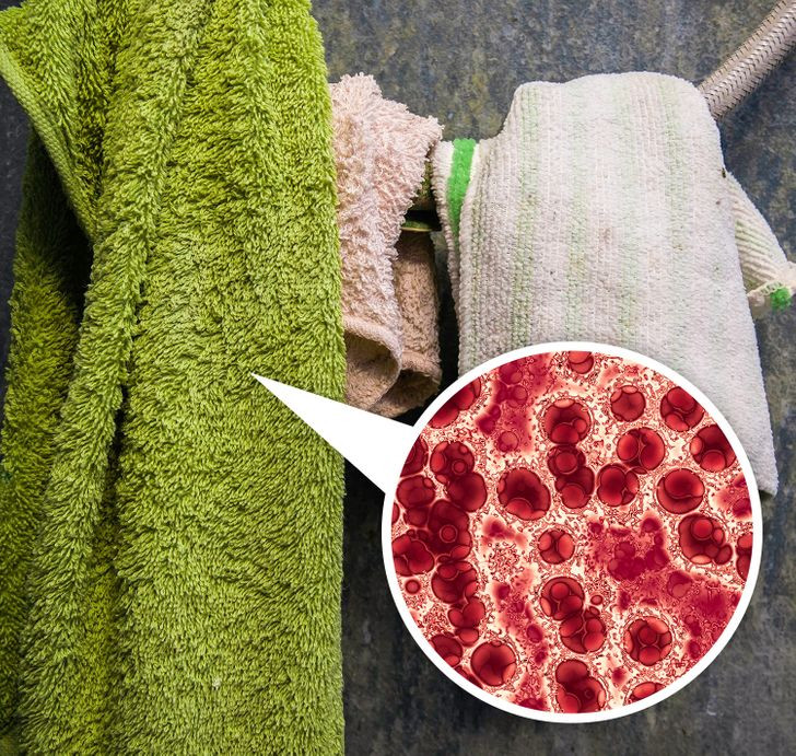 4. Khăn tắm: Treo những chiếc khăn ẩm, đã qua sử dụng trong phòng tắm có thể khiến nó trở thành một “ổ” vi khuẩn. Sự ấm áp và độ ẩm trong phòng tắm trở thành nơi sinh sản hoàn hảo của vi khuẩn và khăn tắm sẽ mang vi trùng lây truyền sang da khi bạn sử dụng. Tốt nhất, bạn nên giặt khăn sau 3 lần sử dụng và để khăn khô hẳn rồi mới sử dụng tiếp.