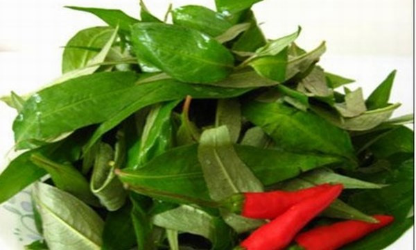 Rau răm: Đây là một trong các loại rau thơm ăn kèm được nhiều quý ông ưu thích vì vị cay và thơm rất đặc trưng. Rất ít người biết rằng rau răm có thể gây tình trạng yếu sinh lý ở nam giới. Nếu ăn nhiều rau răm, đặc biệt là rau răm sống, sẽ gây tổn thương nghiêm trọng đến chức năng sinh lý của cơ thể.