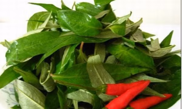 Rau răm: Đây là một trong các loại rau thơm ăn kèm được nhiều quý ông ưu thích vì vị cay và thơm rất đặc trưng. Rất ít người biết rằng rau răm có thể gây tình trạng yếu sinh lý ở nam giới. Nếu ăn nhiều rau răm, đặc biệt là rau răm sống, sẽ gây tổn thương nghiêm trọng đến chức năng sinh lý của cơ thể.