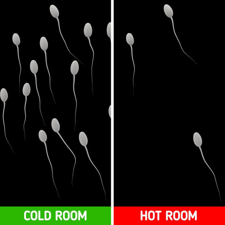 7. Cải thiện khả năng sinh sản ở nam giới: Nguyên nhân là do việc tiếp xúc với nhiệt độ cao trong thờ gian dài có thể ảnh hưởng xấu đến khả năng sinh sản của nam giới. Ngủ trong phòng nhiệt độ thấp và mặc đồ lót rộng rãi có thể ngăn ngừa điều này.