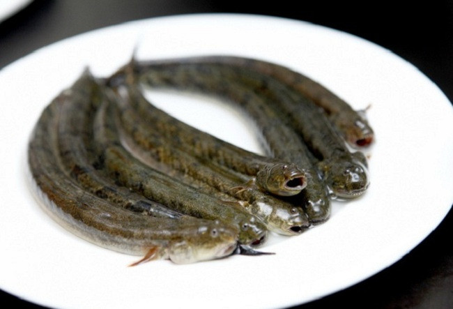 Cá kèo còn sống, sau khi được rửa sạch, ướp qua gia vị sẽ cho vào ống sậy nướng trên bếp than hồng.