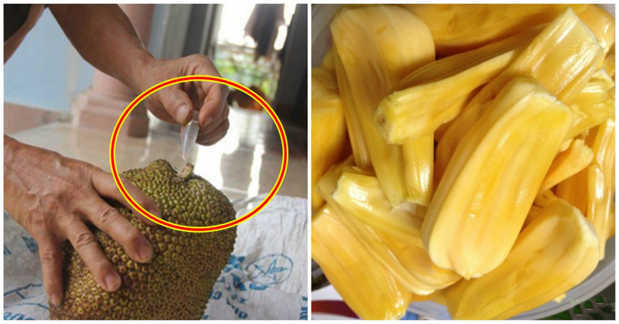 Mít: Hóa chất càng "nặng đô" thì thời gian thúc mít chín càng rút ngắn. Sau khi tiêm thuốc, chưa đầy 12 giờ sau là mít chín. Chỉ cần pha lọ hóa chất với 500 ml nước, dùng que sắt dùi lỗ trên các quả mít rồi đổ hỗn hợp thuốc vào, mít xanh mấy cũng vàng ươm nhưng lại 'ủ' đầy chất độc hại cho sức khỏe người tiêu dùng.