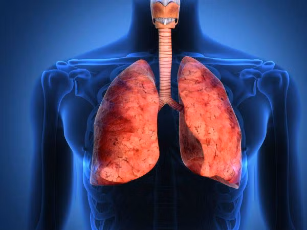 8. Kiểm soát tình trạng phổi: Các nhà nghiên cứu phát hiện ra rằng các đặc tính chống oxy hóa và chống viêm của curcumin có thể làm giảm các triệu chứng của tình trạng phổi mãn tính. Một đánh giá y tế năm 2017 kết luận rằng curcumin có thể giúp điều trị bệnh hen suyễn, phổi và xơ nang, ung thư phổi, tổn thương phổi và bệnh phổi tắc nghẽn mãn tính (COPD).