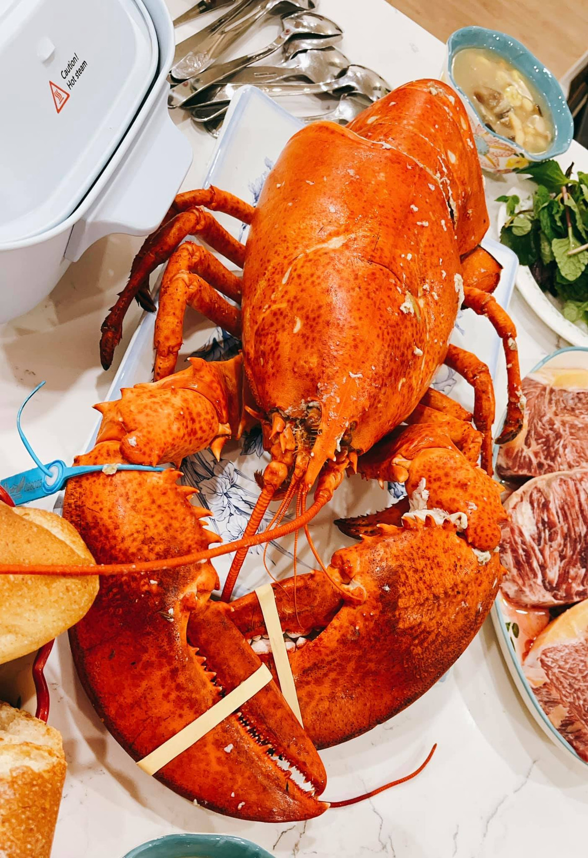 Món chính của bữa tiệc là con tôm hùm Alaska siêu to.