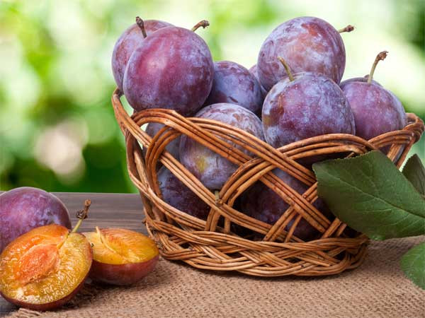 7. Mận là loại trái cây có hàm lượng oxalat thấp, có thể ngăn ngừa nguy cơ hình thành sỏi trong thận. Nước ép mận được coi là tốt nhất cho sức khỏe của thận. Ngoài ra, hãy tiêu thụ một lượng mận khô vừa phải vì chúng chứa nhiều oxalat hơn mận tươi một chút.