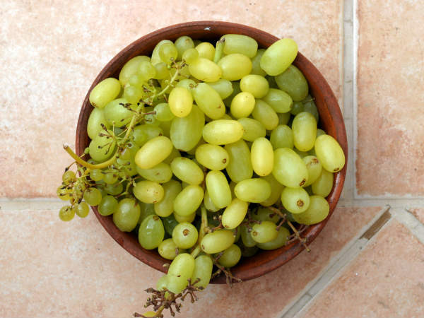 2. Nho: Một nghiên cứu cho biết nho có thể giúp giảm 50% sự hình thành sỏi thận do dư thừa canxi oxalat. Điều này là do ngoài hàm lượng oxalat thấp, nho còn rất giàu polyphenol, một loại chất chống oxy hóa có thể giúp ngăn ngừa sự hình thành các tinh thể oxalat và giảm nguy cơ mắc bệnh sỏi thận.