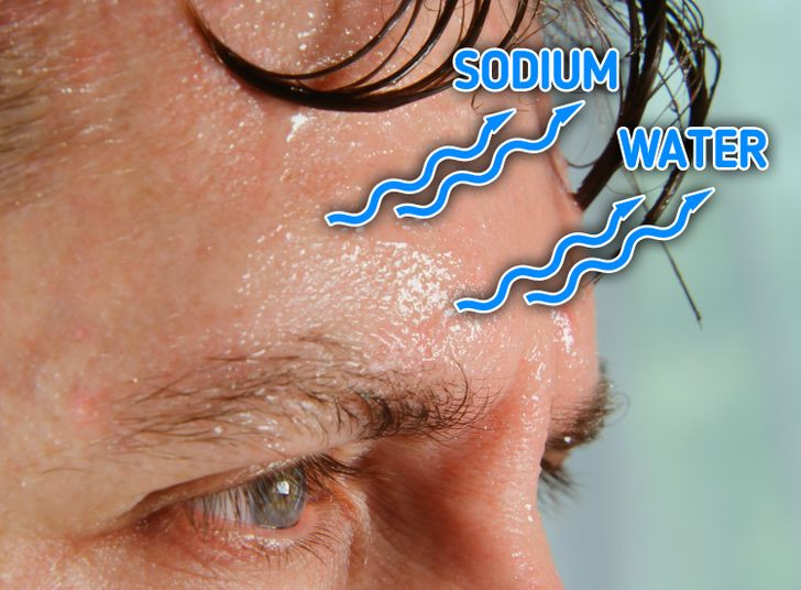 3. Ăn quá ít muối: Mặc dù chế độ ăn nhiều natri có thể làm cơ thể mất nước nhưng natri hỗ trợ cân bằng chất lỏng trong cơ thể. Chúng ta tự nhiên mất natri và các nguyên tố vi lượng khác qua mồ hôi, do đó, cả nước và natri đều cần được thay thế.