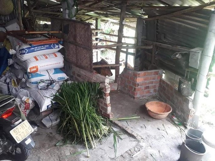 Nu sinh o Quang Nam treo co tu tu sau khi biet diem chuan-Hinh-2