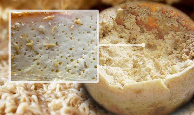 Casu Marzu là một loại phô mai lúc nhúc giòi cực kỳ được ưa chuộng ở vùng Sardinia, Ý. Nó còn có tên gọi khác là Maggot Cheese hay Rotten Cheese (phô mai thối). Điểm nổi bật của Casu Marzu là nếu nhìn gần, bạn sẽ thấy những con giòi lúc nhúc trong đó, khiến ai cũng phải sởn da gà khi nhìn vào.