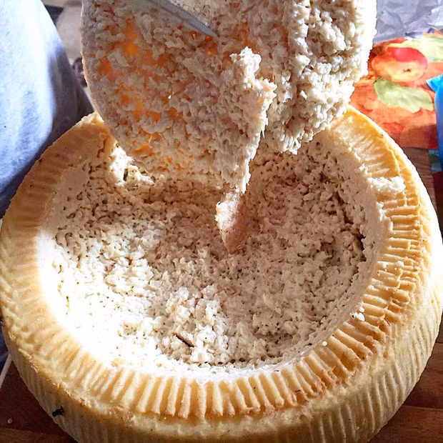 Casu Marzu được làm từ loại pho mát sữa cừu truyền thống có tên là Pecorino. Nó được tạo ra một cách cố ý bằng cách cấy giòi vào phô mai mới làm thông qua những con ruồi đặc chủng được nuôi riêng biệt mang tên Piophila casei.