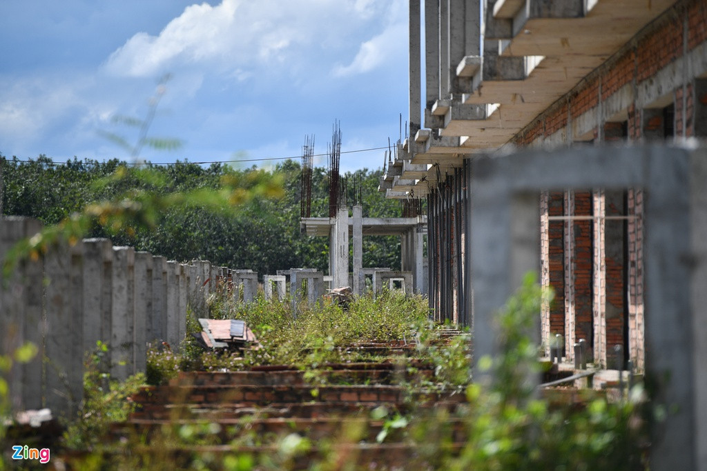 Toan canh gan 500 biet thu, nha lien ke xay trai phep tren dat rung-Hinh-9