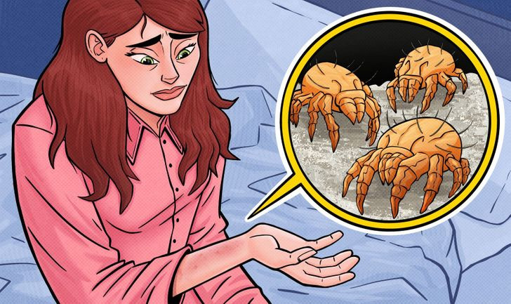 Biet dieu nay ban se bo ngay thoi quen mac lai do ngu 2 ngay-Hinh-4