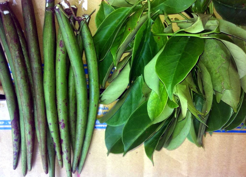 Khác hẳn với các loại rau khác, lá vón vén khi được cho vào nấu canh lúc nào cũng chuyển từ màu xanh sang màu úa vàng. Canh cá lá vón vén có vị chua dịu, ăn lá có vị bùi bùi sần sật, tạo nên một hương vị vô cùng đặc biệt.