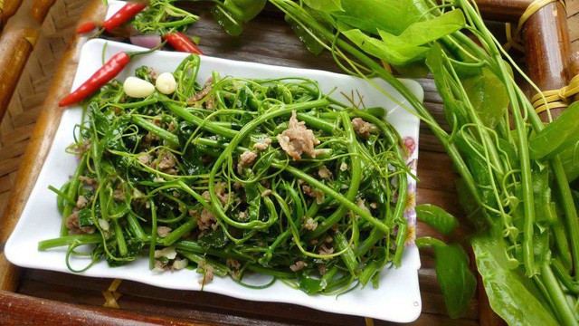 Rau bò khai có thể chế biến thành nhiều món như xào tỏi, xào với trứng, xào với thịt bò hay hải sản… Loại rau rừng này rất ngon và có nhiều tác dụng tốt cho sức khỏe.