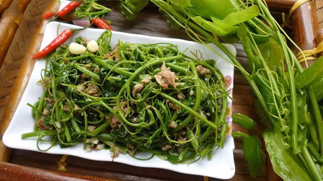 Rau bò khai có thể chế biến thành nhiều món như xào tỏi, xào với trứng, xào với thịt bò hay hải sản… Loại rau rừng này rất ngon và có nhiều tác dụng tốt cho sức khỏe.