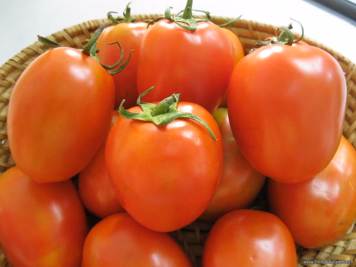 Bac si khuyen cao 6 loai qua khong nen an de tranh dau da day-Hinh-5