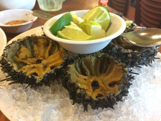 Cầu gai ăn sống ngon miệng và bổ dưỡng và quá trình chuẩn bị thì rất đơn giản. Người ta thường ăn cầu gai sống với cải bẹ xanh và mù tạt hoặc thưởng thức cùng muối tiêu chanh.