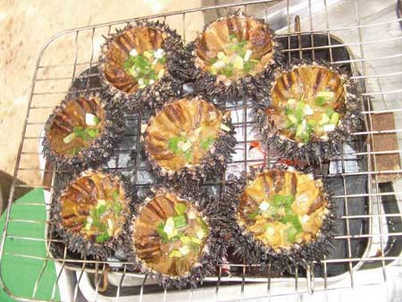 Cầu gai nướng mỡ hành: Với những người ưa thích món nướng, thì cầu gai nướng mỡ hành là một món ăn thơm ngon, hấp dẫn mà không thể bỏ qua. Món ăn này được chế biến nhanh nhưng đem lại cho bạn sự ngon miệng với một cảm giác khác so với hai cách chế biến trên.